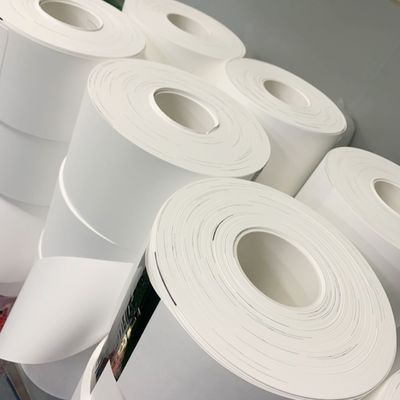 Qualität  0.1µM - 5µM Pore Size Nylon (Polyamide) Membrane Filter Circles usine